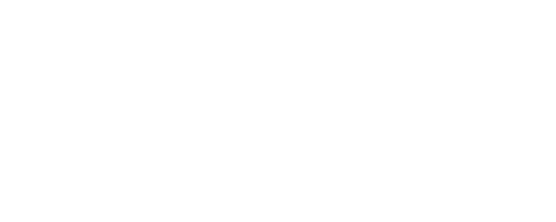 KALEO Festival 💙